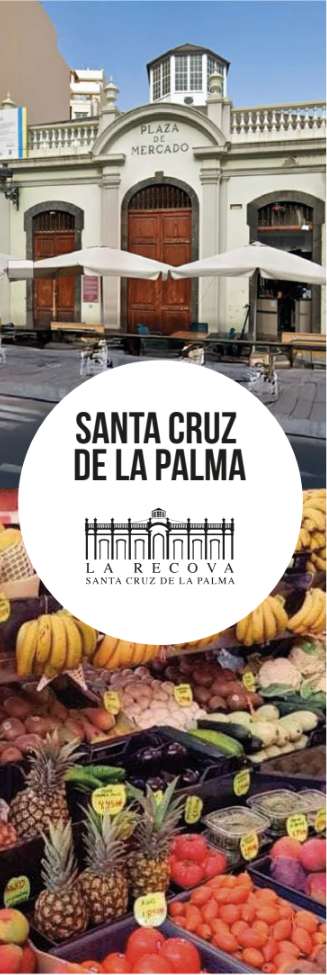 captura desde 2026 02 23 23 34 17