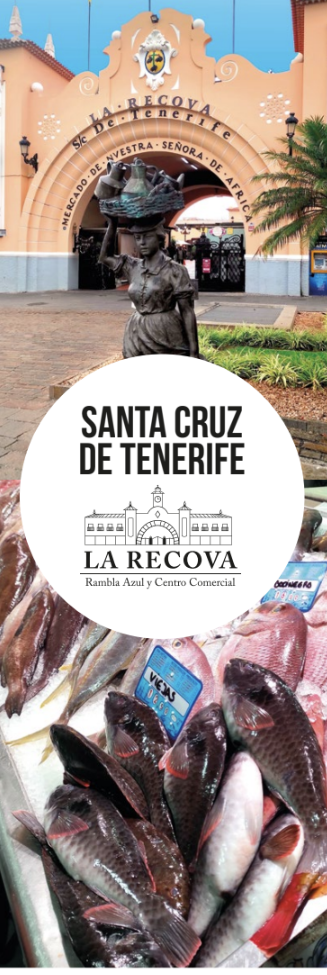 captura desde 2026 02 23 23 34 27